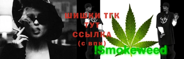 стафф Майский