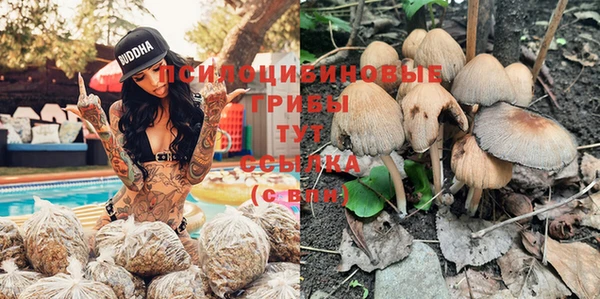 соль ск Липки