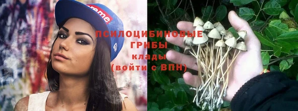 круглые Магас