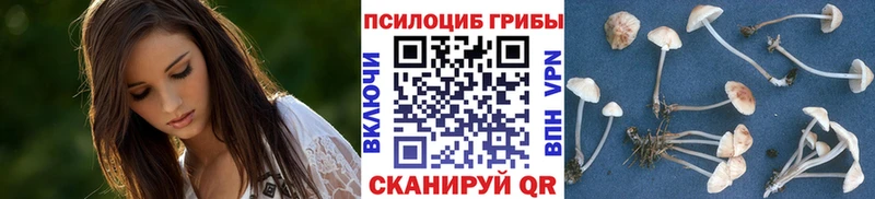 Галлюциногенные грибы мухоморы  цена наркотик  Мантурово 